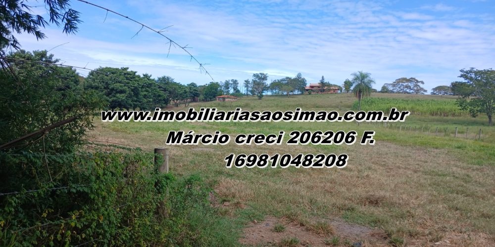 WhatsApp Image 2025-08-11 at 11.47.57