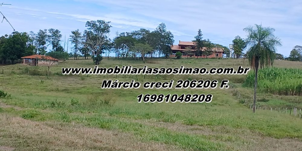 WhatsApp Image 2025-08-11 at 11.47.58 (1)