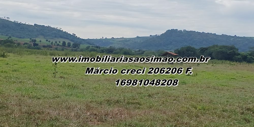 WhatsApp Image 2025-08-11 at 11.47.58