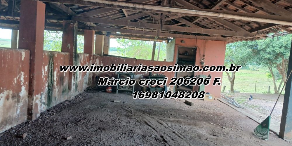 WhatsApp Image 2025-08-11 at 11.48.00 (1)