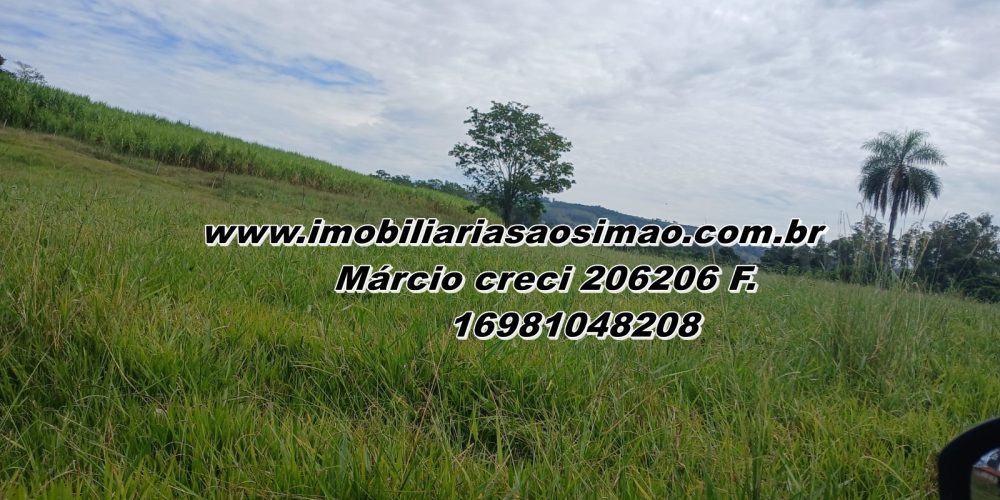 WhatsApp Image 2025-08-11 at 11.48.01 (1)