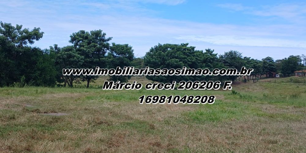 WhatsApp Image 2025-08-11 at 11.48.02