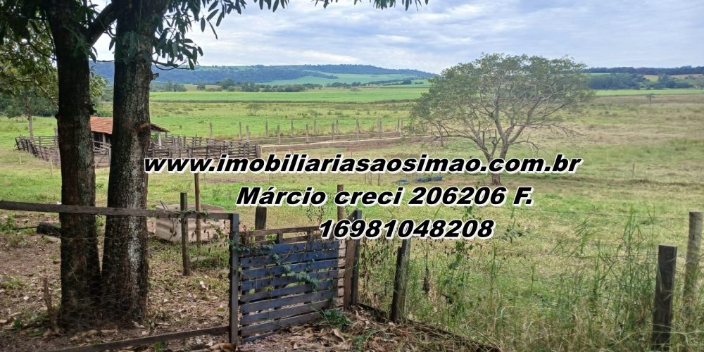 WhatsApp Image 2025-08-11 at 11.48.06 (2)