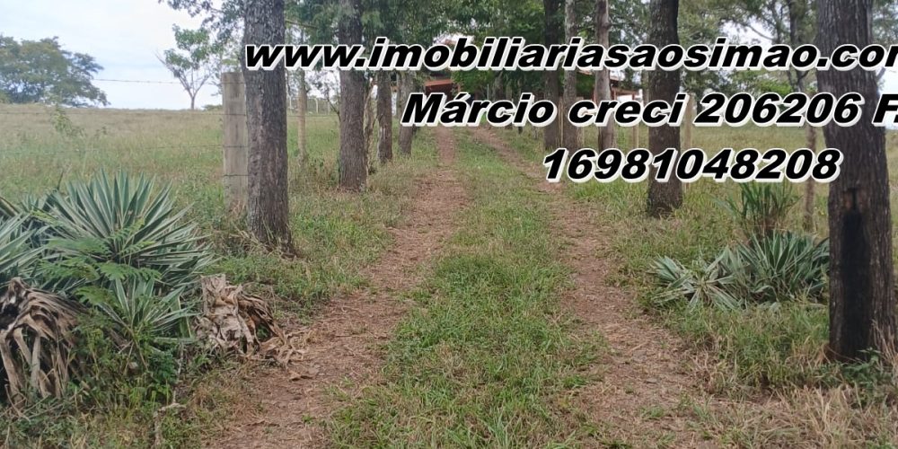 WhatsApp Image 2025-08-11 at 11.48.06