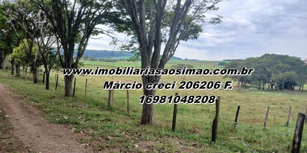 WhatsApp Image 2025-08-11 at 11.48.07