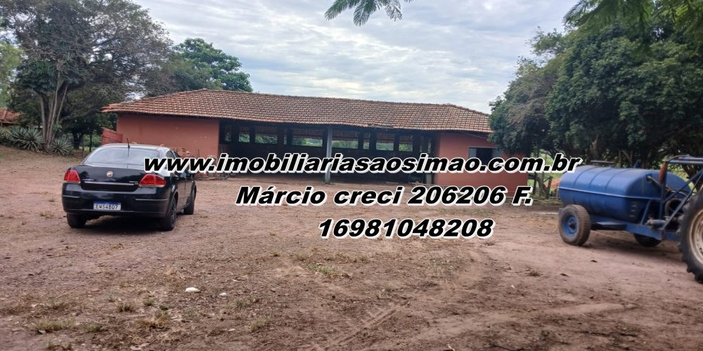 WhatsApp Image 2025-08-11 at 11.48.08