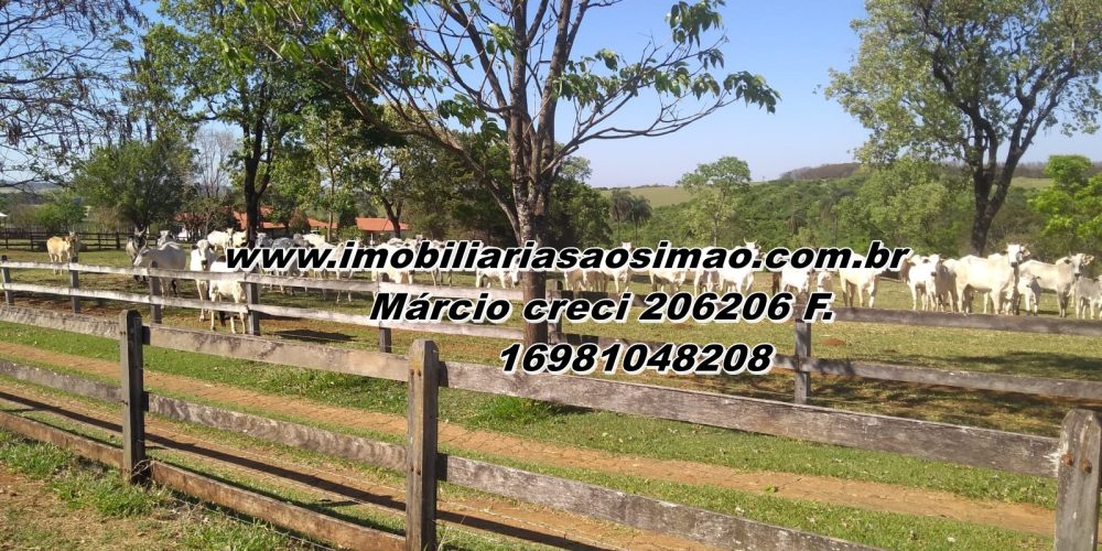 WhatsApp Image 2025-09-26 at 06.47.10 (2)