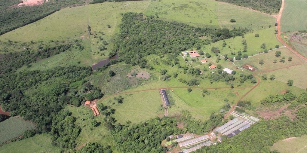 WhatsApp Image 2025-09-26 at 06.47.10 (3)