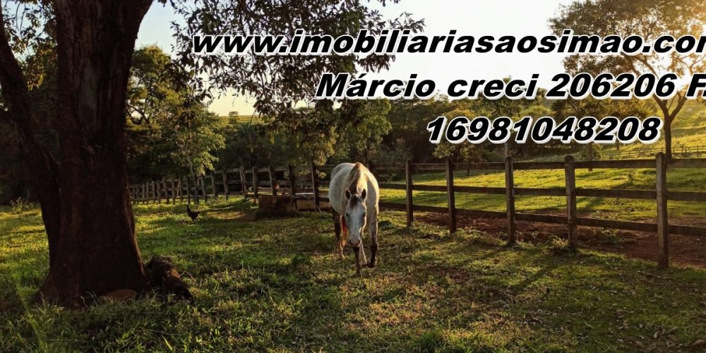 WhatsApp Image 2025-09-26 at 06.47.10 (4)