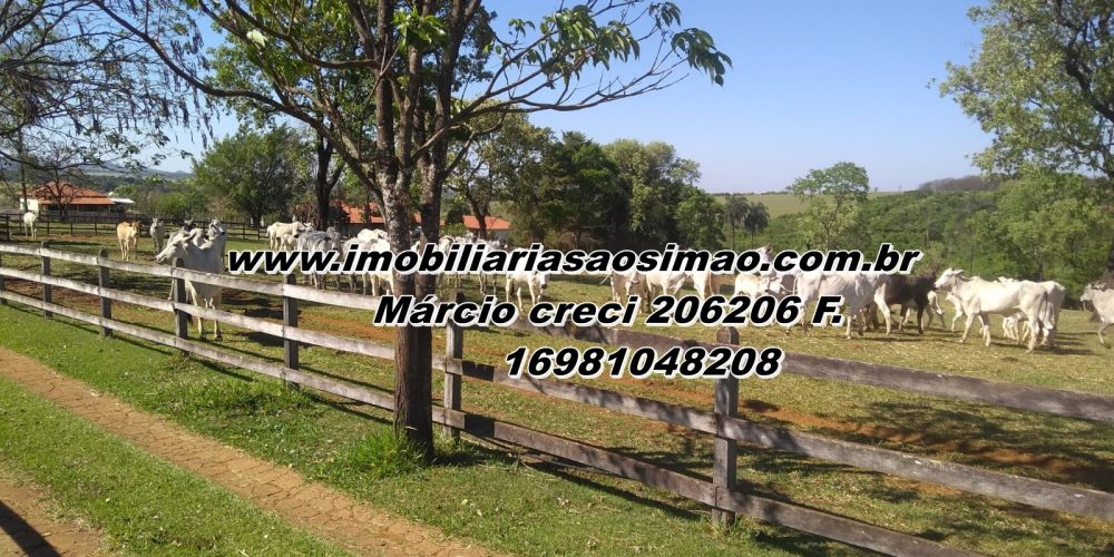 WhatsApp Image 2025-09-26 at 06.47.10