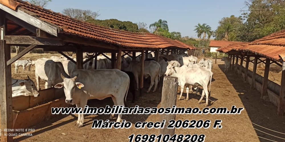 WhatsApp Image 2025-09-26 at 06.47.11 (1)