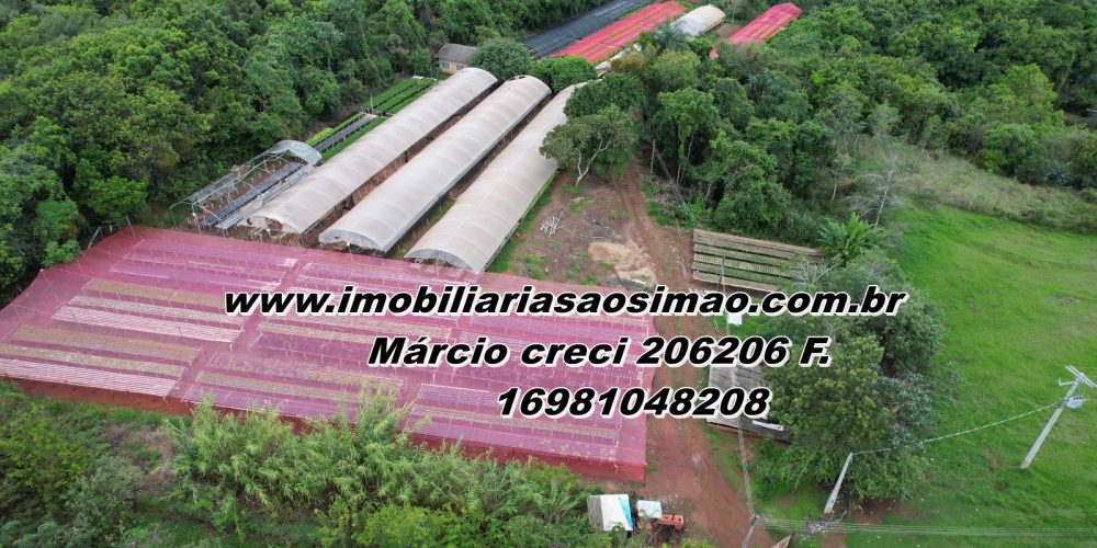 WhatsApp Image 2025-09-26 at 06.47.12