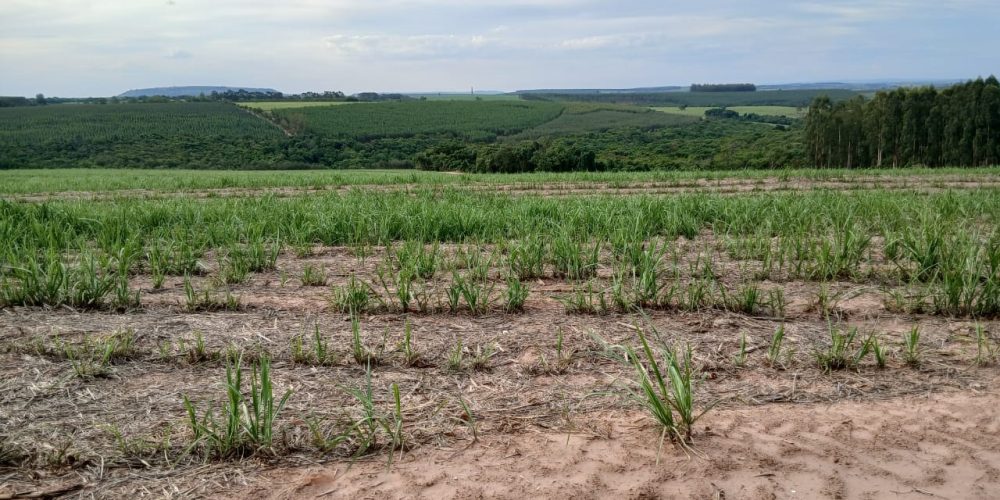 WhatsApp Image 2026-01-13 at 11.43.39 (1)