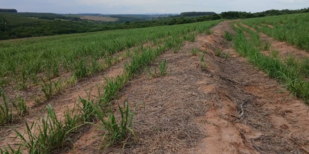 WhatsApp Image 2026-01-13 at 11.43.39 (2)