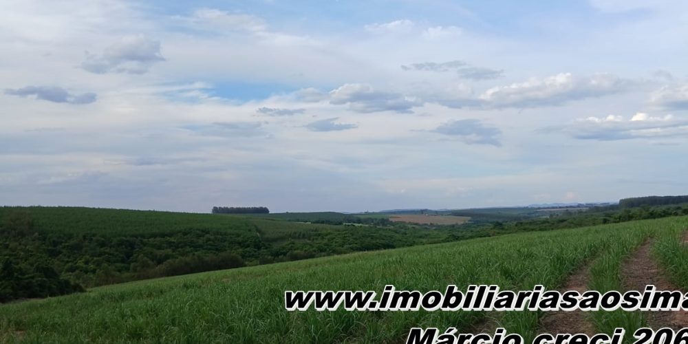 WhatsApp Image 2026-01-13 at 11.43.39