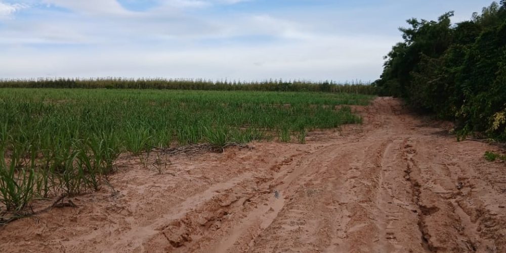 WhatsApp Image 2026-01-13 at 11.43.40 (1)