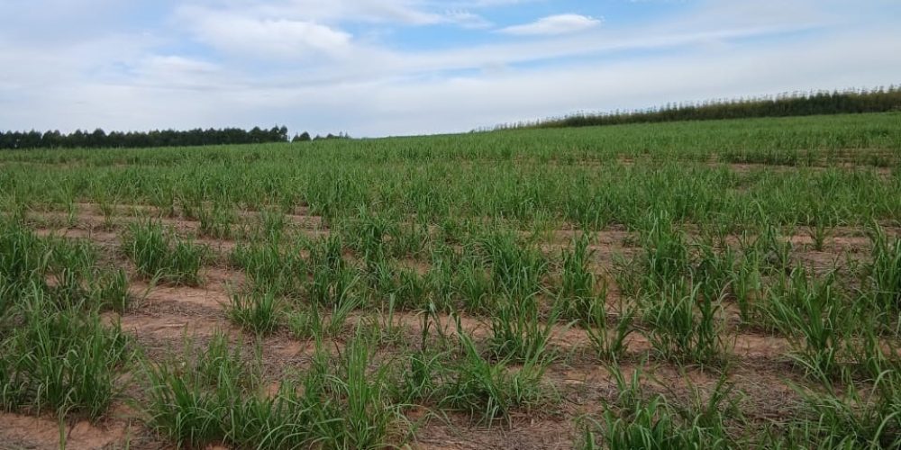 WhatsApp Image 2026-01-13 at 11.43.40 (2)