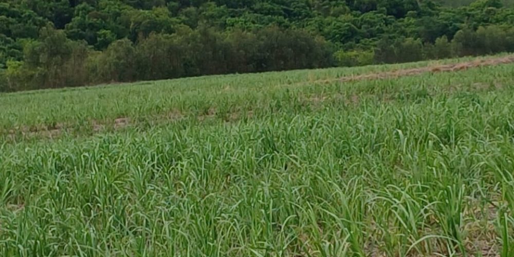 WhatsApp Image 2026-01-13 at 11.43.40