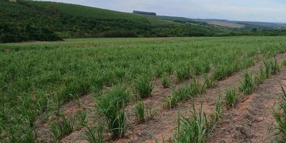 WhatsApp Image 2026-01-13 at 11.43.41