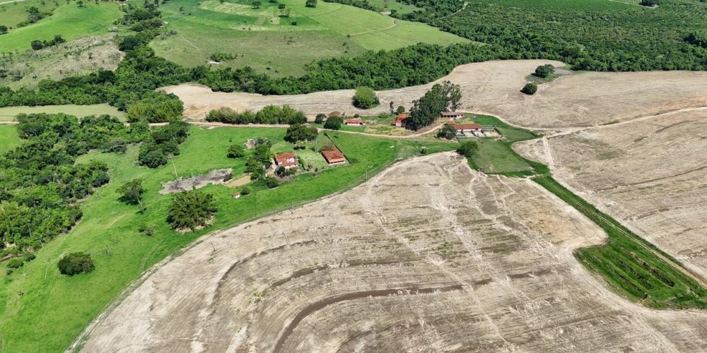 WhatsApp Image 2026-01-13 at 11.43.56 (1)