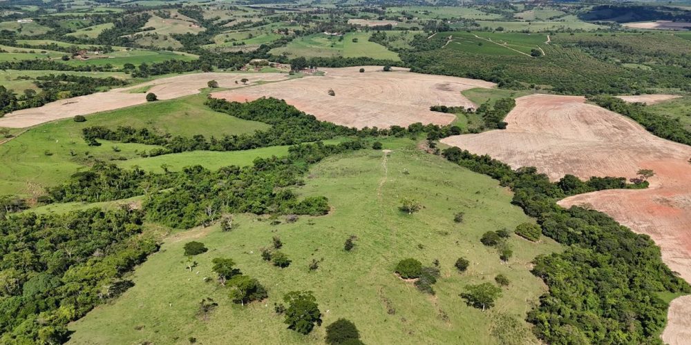 WhatsApp Image 2026-01-13 at 11.43.56 (2)