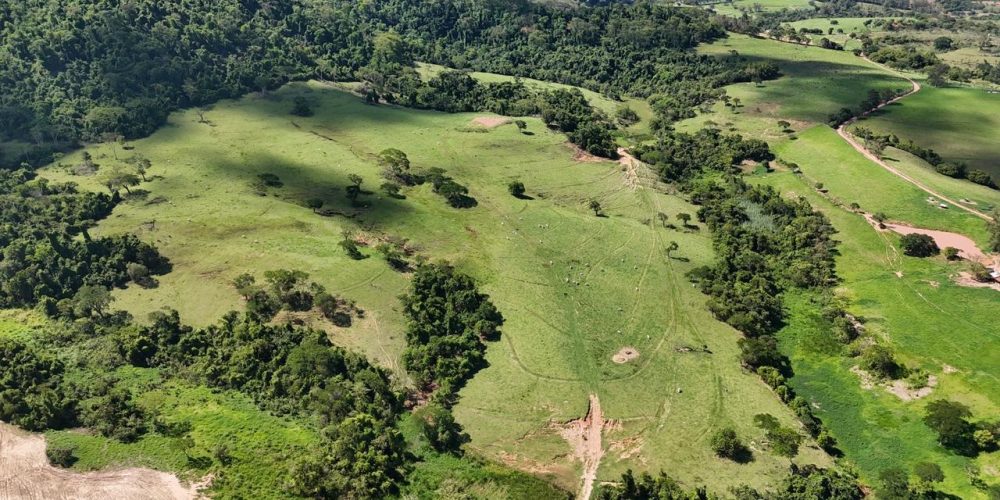 WhatsApp Image 2026-01-13 at 11.43.56