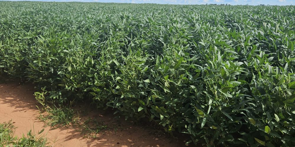 WhatsApp Image 2026-01-13 at 11.44.15