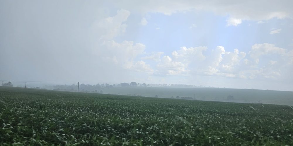 WhatsApp Image 2026-01-13 at 11.44.16 (2)