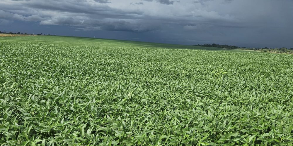 WhatsApp Image 2026-01-13 at 11.44.17