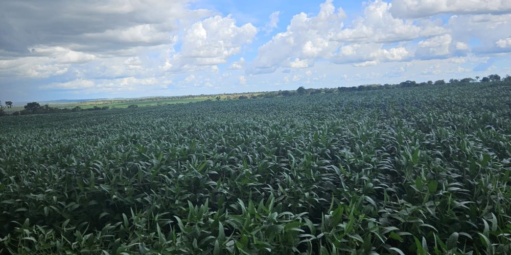 WhatsApp Image 2026-01-13 at 11.44.18 (1)