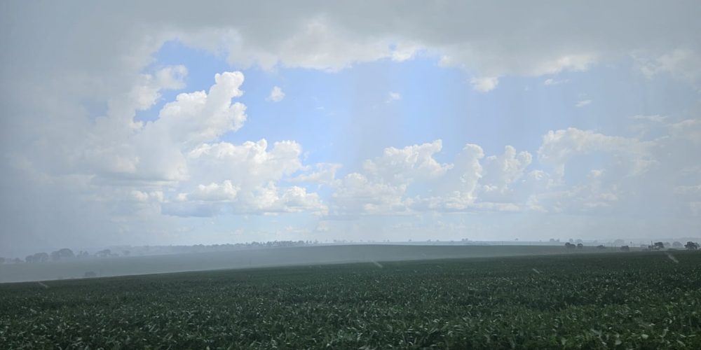 WhatsApp Image 2026-01-13 at 11.44.18 (2)