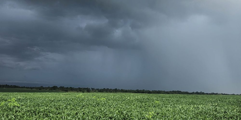 WhatsApp Image 2026-01-13 at 11.44.18