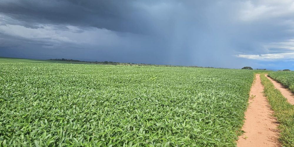 WhatsApp Image 2026-01-13 at 11.44.21