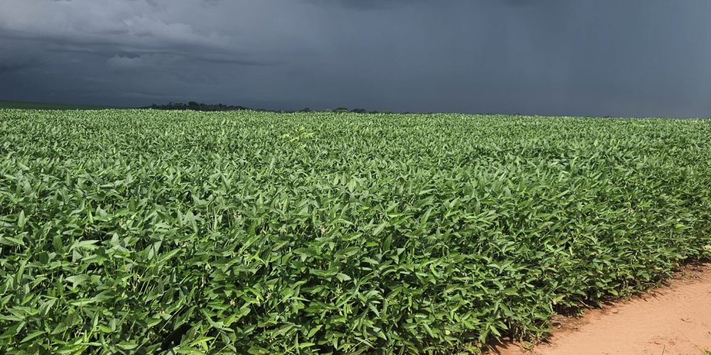 WhatsApp Image 2026-01-13 at 11.44.24