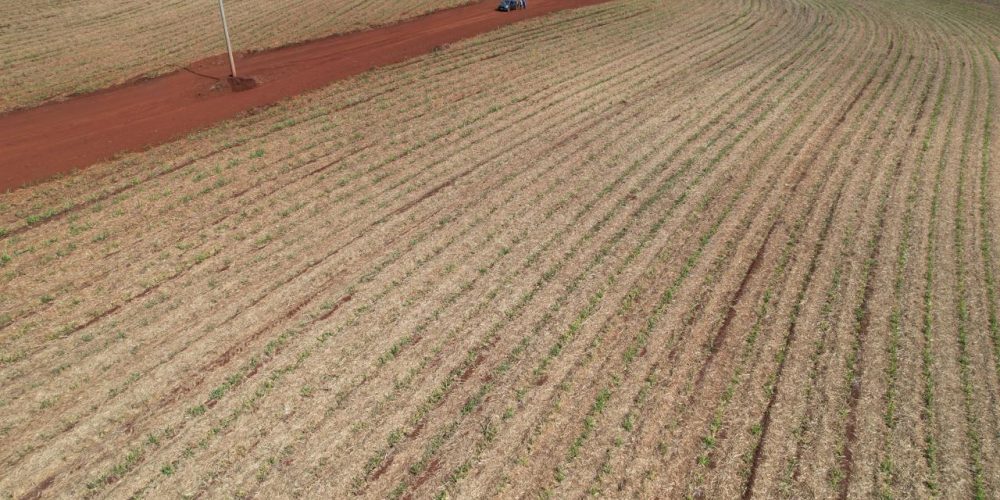 WhatsApp Image 2026-01-15 at 19.54.26