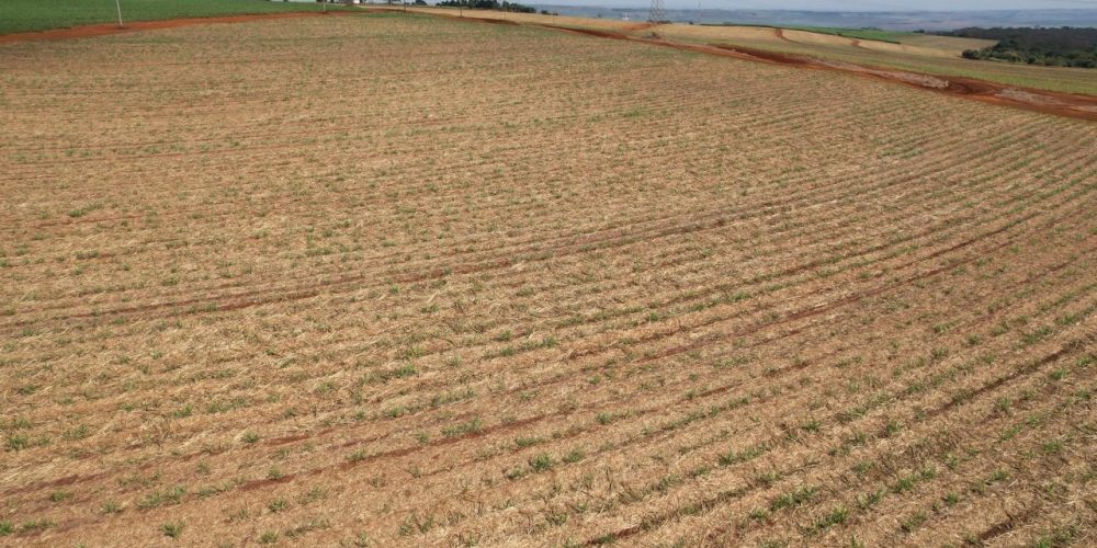 WhatsApp Image 2026-01-15 at 19.54.27 (1)