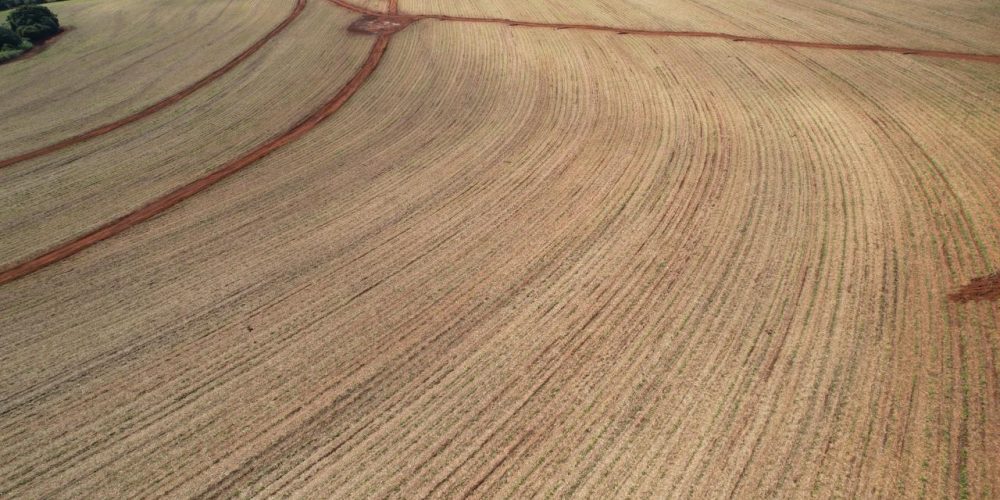 WhatsApp Image 2026-01-15 at 19.54.27 (2)