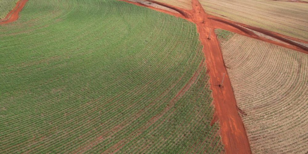 WhatsApp Image 2026-01-15 at 19.54.27