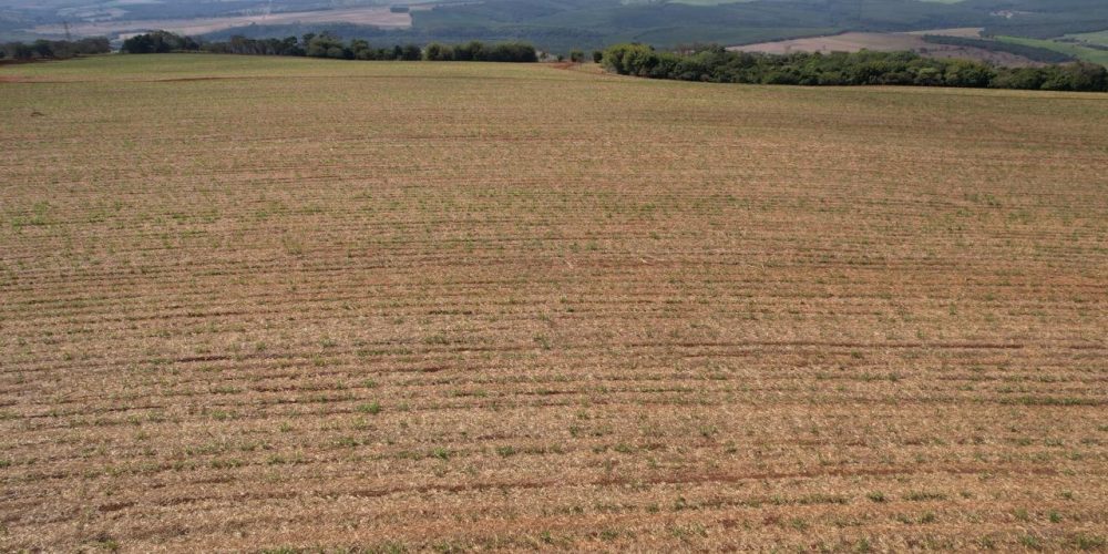 WhatsApp Image 2026-01-15 at 19.54.28 (2)