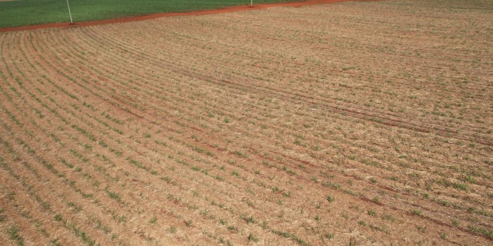 WhatsApp Image 2026-01-15 at 19.54.28 (3)