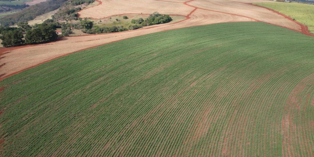 WhatsApp Image 2026-01-15 at 19.54.28