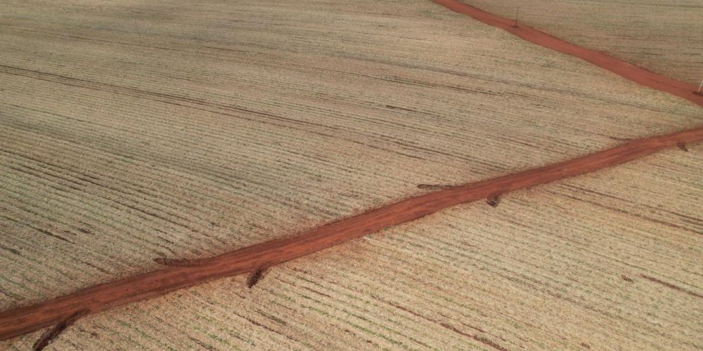 WhatsApp Image 2026-01-15 at 19.54.29