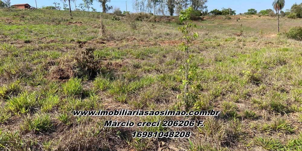 WhatsApp Image 2026-01-21 at 07.06.19 (1)