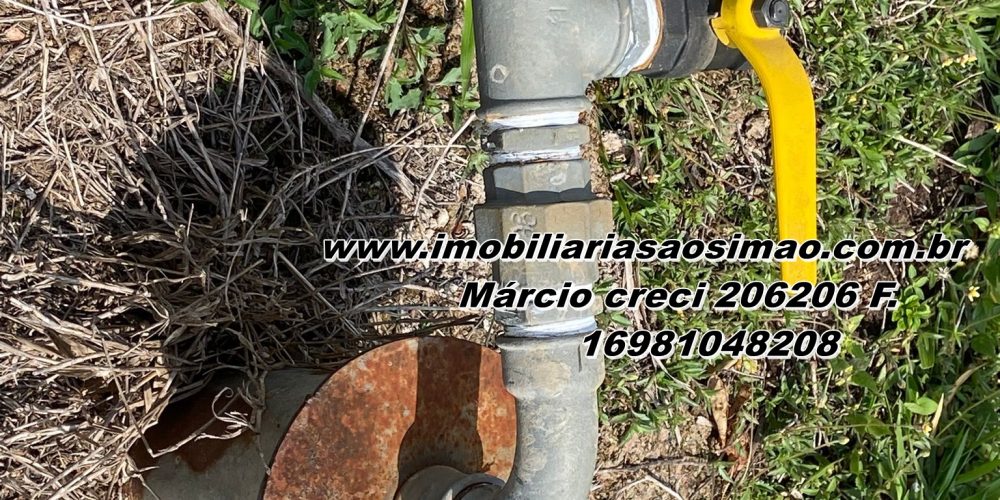 WhatsApp Image 2026-01-21 at 07.06.19 (3)