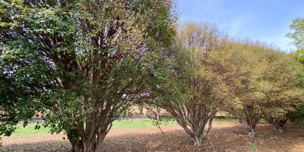 WhatsApp Image 2026-01-21 at 07.06.20