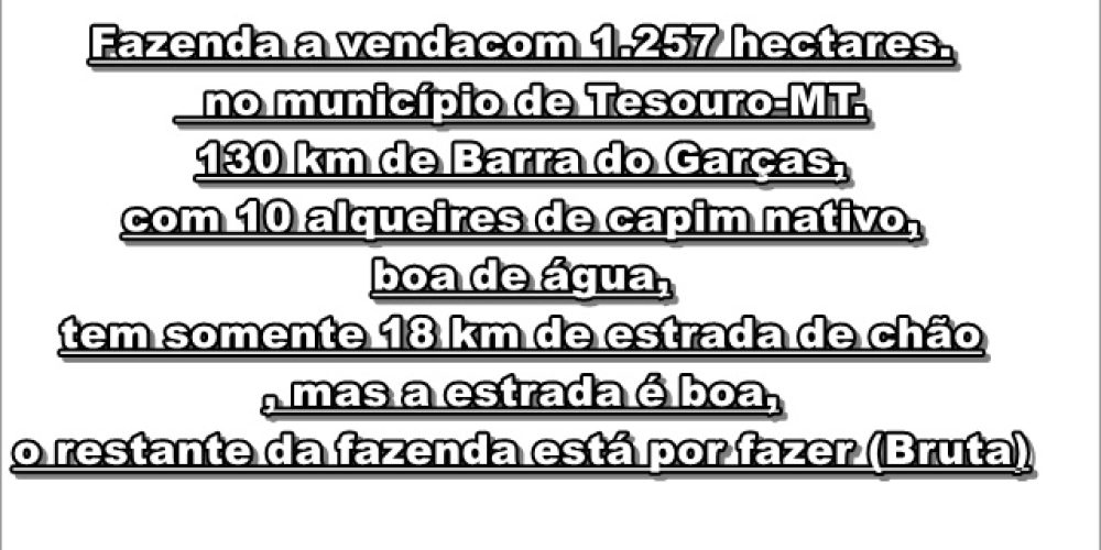 tela em branco