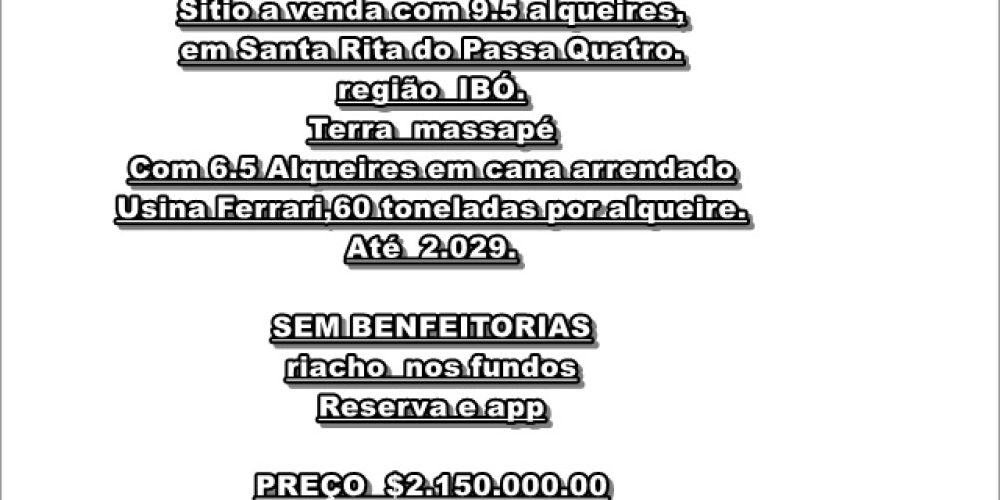 tela em branco