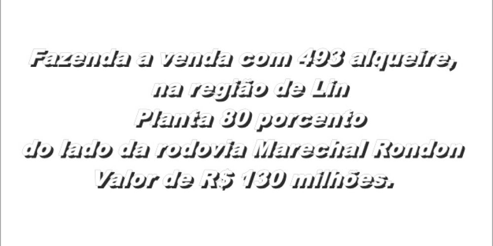 tela em branco